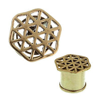 Load image into Gallery viewer, A pair of Messing Wabe Dreiecke antik gold ribbed Flesh Tunnels in a geometric lattice design, featuring a cylindrical shape and shown from two angles.
