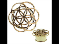 Load image into Gallery viewer, Brass Tunnel Blume des Lebens wellig überstehend golden Messing Expander Plug antik Schmuck
