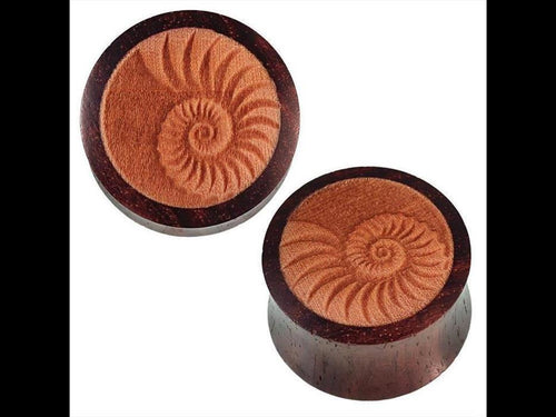 Holz Plug braun dunkel Fossilien Optik Schnecken Muschel Inlay Tunnel Expander