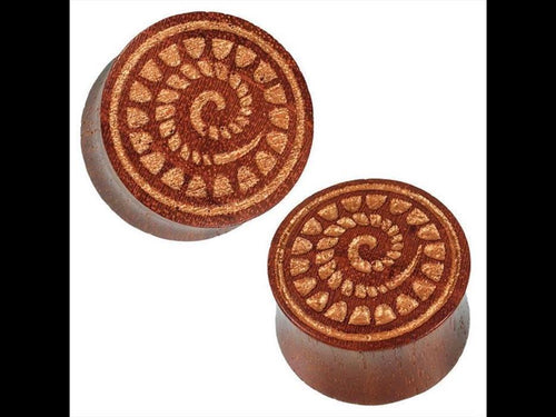 Organic Holz Plug braun natur Lasergravur Fossilien Schnecke Tribal Expander