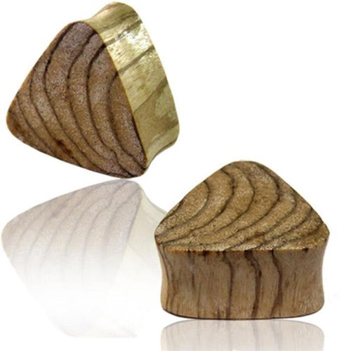 Two small Triangle Plug Tigerholz hell gemasert Expander Tunnel Tribal dreieckig blocks, with curved grain patterns and rounded edges, stand upright and leaning on a white background, faintly reflected beneath.