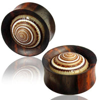 Load image into Gallery viewer, Two round Holz Plug Sonnenuhrschnecke Muschel double flared ear plugs feature a polished, spiral-patterned shell inlay with natural brown and cream hues, shown on a white background with a subtle reflection.
