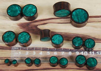 Load image into Gallery viewer, Holz Plug Sonoholz dunkelgrün schillernd Resin Inlay double flared
