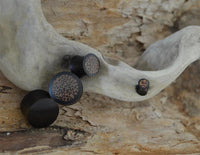 Load image into Gallery viewer, Close-up of the Holz Plug Kokosholz Inlay handgeschnitzt Sonoholz, featuring five small round pieces with speckled brown patterns on flat surfaces—evoking Tribal Flesh Plug aesthetics.
