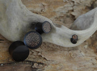 Load image into Gallery viewer, A close-up of four round, black Holz Plug Kokosholz Inlay handgeschnitzt Sonoholz plugs with speckled brown tops, displayed on driftwood against a textured wooden background.
