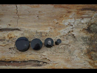 Load image into Gallery viewer, Horn Plug schwarz gewölbt glänzend Organic Piercing
