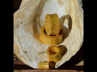 Load image into Gallery viewer, Five "Jackfrucht Holz Tunnel ocker Pünktchen konvex dick" handcrafted wooden tunnels in assorted sizes are displayed inside a large, textured pale seashell, highlighting their unique tribal-inspired designs.
