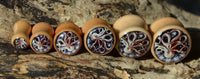 Load image into Gallery viewer, Five wooden stamps with ornate octopus designs, displayed on textured wood in natural light, offer perfect inspiration for fans of the Holz Plug Oktopus Krake Bild beige hell double flared expander.
