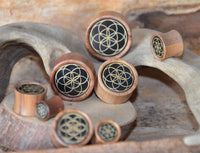Load image into Gallery viewer, Olivenholz Horn Inlay Flesh Plug Blume des Lebens
