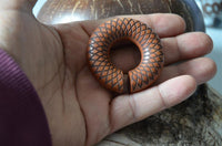 Load image into Gallery viewer, A hand holds the Ohr Donut Piercing Dahlie Holz Ohrgewicht Ring, a round brown wooden expander with a central hole, geometric carvings, and a small side gap, shown against a blurred background.
