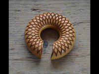 Load image into Gallery viewer, Donut Ohr Piercing Dahlie Jackfrucht Holz Ohrgewicht
