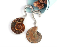 Load image into Gallery viewer, Nautilus Ohrgewicht Hook Piercing Edelstahl 4mm-8mm
