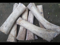 Load image into Gallery viewer, Fake Piercing Bone Edelstahl weiß Spirale Zebra Wellen Zacken Ohrstecker Ohrring
