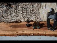 Cargar imagen en el visor de la galería, Fake Plug Piercing Edelstahl Holz Rand gold bemalt
