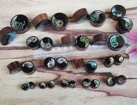 Load image into Gallery viewer, Sonoholz Plug Yin Yang Inlay Paua Abalone Resin schwarz Tunnel Tribal Expander in various sizes are displayed on a table beside a clear ruler and a pink flower petal.
