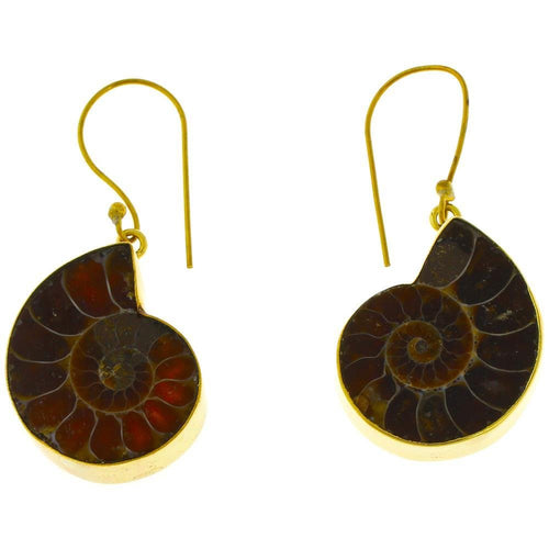 Ohrringe Nautilus Schnecke Messing antik golden Ohrhänger nickelfrei Tribal Resin Schmuck Brass - chic - net.de
