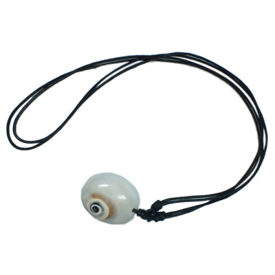 Muschelkette Schnecke Anhänger oval (22x17mm) Kette Muschel verstellbar Baumwollkette