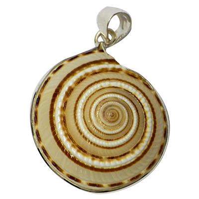 Muschel Anhänger 925er Sterling Silber Damen Schmuck weiß braun Schnecke Sonnenuhrschnecke