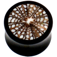Load image into Gallery viewer, Horn Plug schwarz braun weiß Muster Spidermuschel Tribal Buffalo Tunnel Ohrring handgeschnitzt
