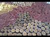 Load image into Gallery viewer, Tunnel Holz Tropfen Dorn gebogen golden bemalt Gravur double flared Arangholz
