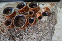 Load image into Gallery viewer, Several Flesh ribbed Tunnel Eisenholz Kokosholz schwarz braun rings in various sizes and a shiny, textured finish are arranged on rough, light-colored tree bark. The pieces feature round shapes in brown and black hues.
