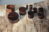 Load image into Gallery viewer, Several round, dark Teakholz Holz Plug Tunnel Expanders in different sizes are arranged on the light, textured surface of a tree trunk. Each unisex Ohrschmuck plug's polished finish contrasts with the rough bark underneath.
