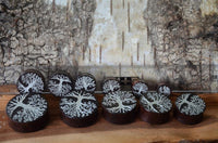 Load image into Gallery viewer, A set of round, dark Holz Plug Baum des Lebens Yggdrasil silber double flared plugs with white tree motifs is arranged by size in front of a ruler on wood, set against a bark-textured background.
