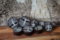 Load image into Gallery viewer, Holz Plug Baum des Lebens Yggdrasil silber double flared discs in different sizes are arranged on rustic wood with a ruler and textured bark backdrop, each featuring an engraved silver Yggdrasil design.
