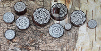Load image into Gallery viewer, Holz Plug Blumen Wabe silber double flared
