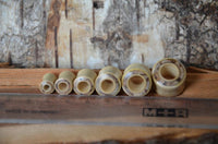 Load image into Gallery viewer, Six heller Tunnel Crocodile Holz dunkles Rangholz Inlay Tunnel Rim pieces are arranged by a clear ruler on wood, set against a textured, bark-like background.
