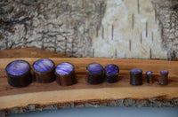 Load image into Gallery viewer, Several Holz Plug Sonoholz lila schillernd Resin Inlay double flared plugs are lined up by size on a rustic wooden surface with a textured bark background.
