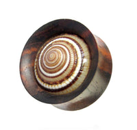 Load image into Gallery viewer, A close-up of a hand-carved Holz Plug Sonnenuhrschnecke Muschel double flared earring in dark wood, featuring a polished spiral shell with natural brown and white rings—a unique piece for your collection.
