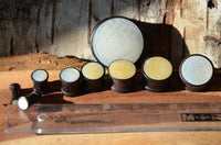 Load image into Gallery viewer, Six round Holz Plug Perlmutt Inlay Gravur Blume des Lebens ribbed plugs and a matching pin are displayed on wood next to a clear plastic ruler, set against textured tree bark in the background.
