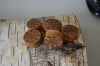 Load image into Gallery viewer, Six round teakwood tokens of the "Holz Teakholz Plug Awe Helm braun double flared" feature runic designs inspired by Nordic mythology, displayed on birch bark and evoking the mystique of ancient traditions.
