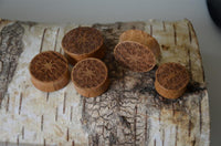 Load image into Gallery viewer, Holz Teakholz Plug Ornament braun double flared
