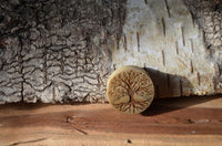 Load image into Gallery viewer, A Krokodil Holz Plug Baum des Lebens hell double flared rests on wood, featuring a carved Tree of Life design, with rough tree bark in the background.
