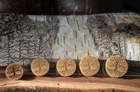 Load image into Gallery viewer, Five Krokodil Holz Plug Baum des Lebens hell double flared buttons, each with Tree of Life carvings, are lined up before a birch log, showcasing natural wood textures and bark in the background.
