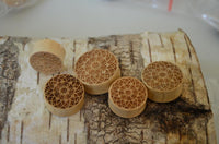 Load image into Gallery viewer, Krokodil Holz Plug Stern Blume hell double flared
