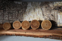 Load image into Gallery viewer, Krokodil Holz Plug Mandala Blume hell double flared
