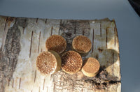 Load image into Gallery viewer, Krokodil Holz Plug Mandala Blume hell double flared
