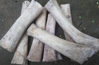 Cargar imagen en el visor de la galería, Six large Bone HornTunnel weiß schwarz gestreift double flared pieces, primarily white with black stripes, are stacked on a dark, rough surface, recalling the remnants of an ancient tribal tunnel.
