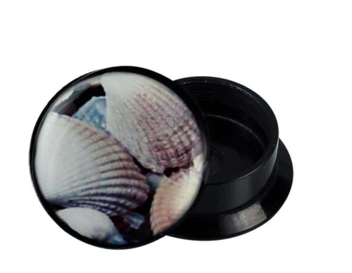 A round black Schraub Plug Acryl with a white seashell photo on the lid, partially open to reveal its empty interior. Ideal as Muschel Piercing Ohrschmuck.
