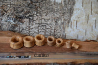 Load image into Gallery viewer, Six Olivenholz Flesh Tunnel double flared abgerundet Holz plugs in different sizes are arranged on a piece of bark beside a clear ruler, with rough tree bark as the background.
