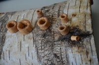 Load image into Gallery viewer, Several small Olivenholz Flesh Tunnel double flared abgerundet Holz pieces are scattered on rough tree bark, showcasing their unique sizes and the beautiful natural grain of hand-carved olive wood.
