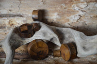 Load image into Gallery viewer, Flesh Plug Holz Parasitholz braun double flared plugs in various sizes rest on and around a weathered driftwood branch, set against a textured wooden background.
