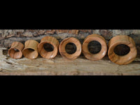 Load image into Gallery viewer, Six wooden napkin rings of different sizes are arranged on a rustic surface, resembling the natural grain and texture of the Holz Plug Olivenholz Sonnenblume handmade double flared jewelry, with bark in the background.
