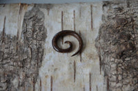 Load image into Gallery viewer, Kopie von Parasitholz Dehnschnecke Spirale Piercing Expander
