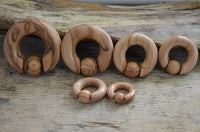 Load image into Gallery viewer, Captive Bead Klemmkugel Ring Olivenholz Piercing Dehner
