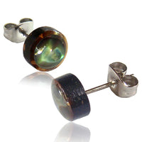 Load image into Gallery viewer, Kokosnuss Paua Shell Perlmutt bunt Ohrstecker rund dunkelbraun Holz Holzohrstecker Edelstahl

