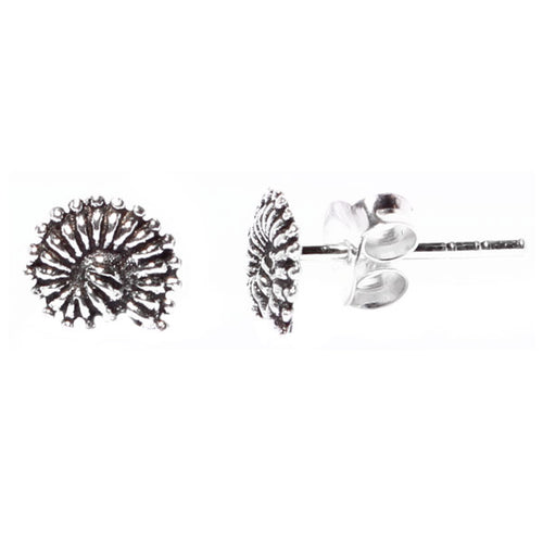 Silberohrstecker Ohrstecker 925er Sterling Silber Unisex Schmuck Ohrringe Muschel Schnecke